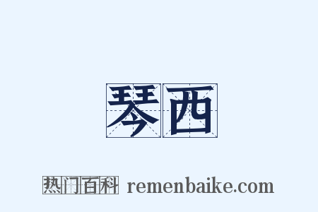 琴西是什么意思的图片